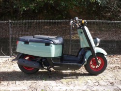 ���}�nVOX�i�L�����L���s�������j�摜1