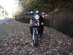 ���}�n�r�[�m�i�L�����L���s�������j�摜3