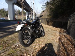 �J���T�L250TR�i�L�����L���s�������j�摜8