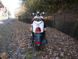 ���}�n�r�[�m�i�L�����L���s�������j�摜4