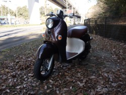 ���}�n�r�[�m�i�L�����L���s�������j�摜5