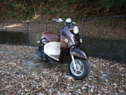 ���}�n�r�[�m�i�L�����L���s�������j�摜6