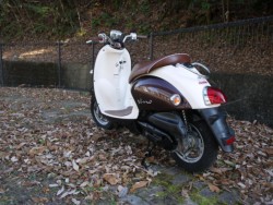 ���}�n�r�[�m�i�L�����L���s�������j�摜7