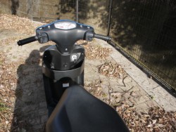 �X�Y�L���b�c�i�L�����L���s�������j�摜9