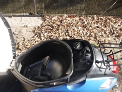 �X�Y�L���b�c�i�L�����L���s�������j�摜10