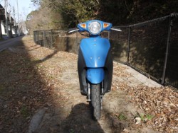 �X�Y�L���b�c�i�L�����L���s�������j�摜3