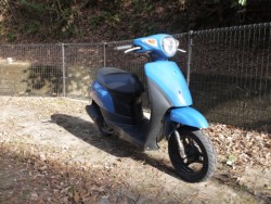 �X�Y�L���b�c�i�L�����L���s�������j�摜8