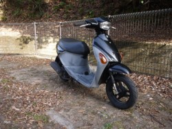 �X�Y�L���b�c4�i�L�����L���s�������j�摜6