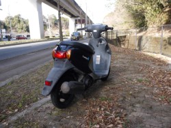 �X�Y�L���b�c4�i�L�����L���s�������j�摜8