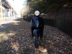 �z���_Today�i�L�����L���s�������j�摜3