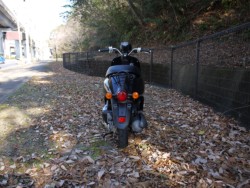 �z���_Today�i�L�����L���s�������j�摜4