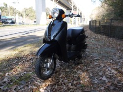 �z���_Today�i�L�����L���s�������j�摜5