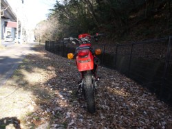 �z���_XL125R�i�L�����L���s�������j�摜4