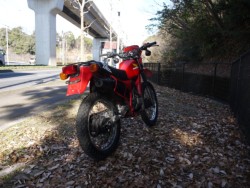 �z���_XL125R�i�L�����L���s�������j�摜8