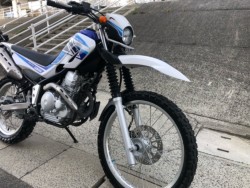 ���}�n�Z���[250�i�L�����L���s���j�摜2