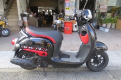 �z���_�W�����m�i���Q�������l�s�j�摜1