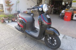 �z���_�W�����m�i���Q�������l�s�j�摜2