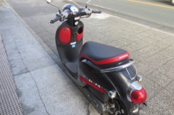 �z���_�W�����m�i���Q�������l�s�j�摜6