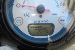 �z���_�W�����m�i���Q�������l�s�j�摜8